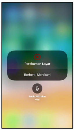 Cara Merekam Layar Screen Record di iPhone iPad iPod Touch