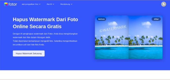 Cara Menghapus Watermark Foto Secara Online